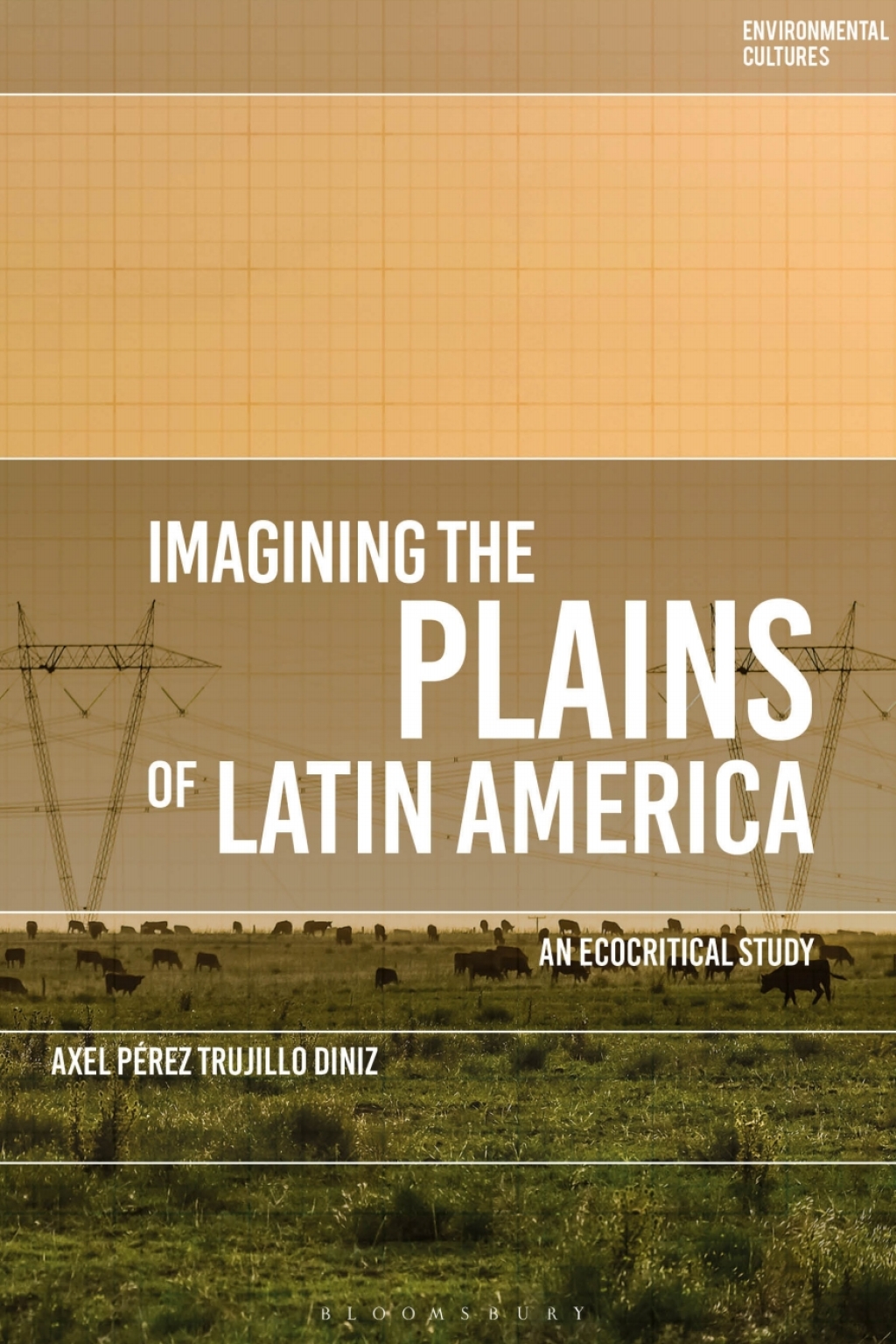 ISBN 9781350134294 product image for Imagining the Plains of Latin America - 1st Edition (eBook Rental) | upcitemdb.com