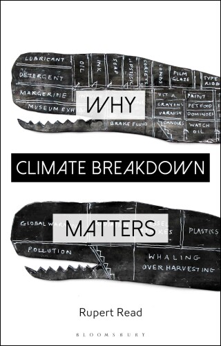 Immagine di copertina: Why Climate Breakdown Matters 1st edition 9781350212015