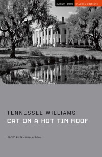 Omslagafbeelding: Cat on a Hot Tin Roof 1st edition 9781350237988