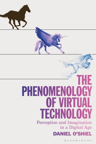 Titelbild: The Phenomenology of Virtual Technology 1st edition 9781350245549