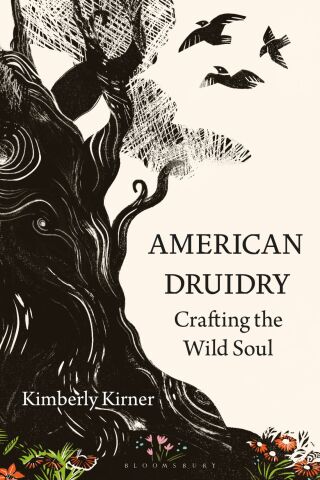 Cover image: American Druidry 1st edition 9781350264120