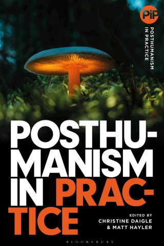 Cover image: Posthumanism in Practice 1st edition 9781350293847
