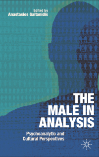 Imagen de portada: The Male In Analysis 1st edition 9781403947390