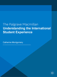 Immagine di copertina: Understanding the International Student Experience 1st edition 9781403986191