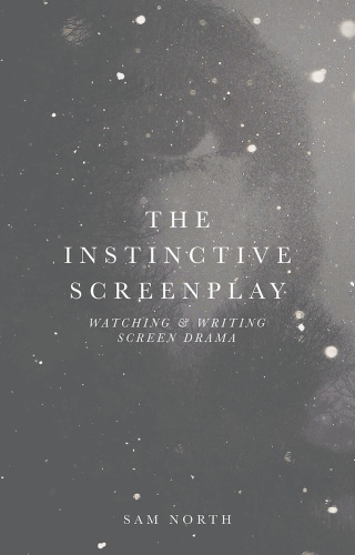 Cover image: The Instinctive Screenplay 1st edition 9781137607508