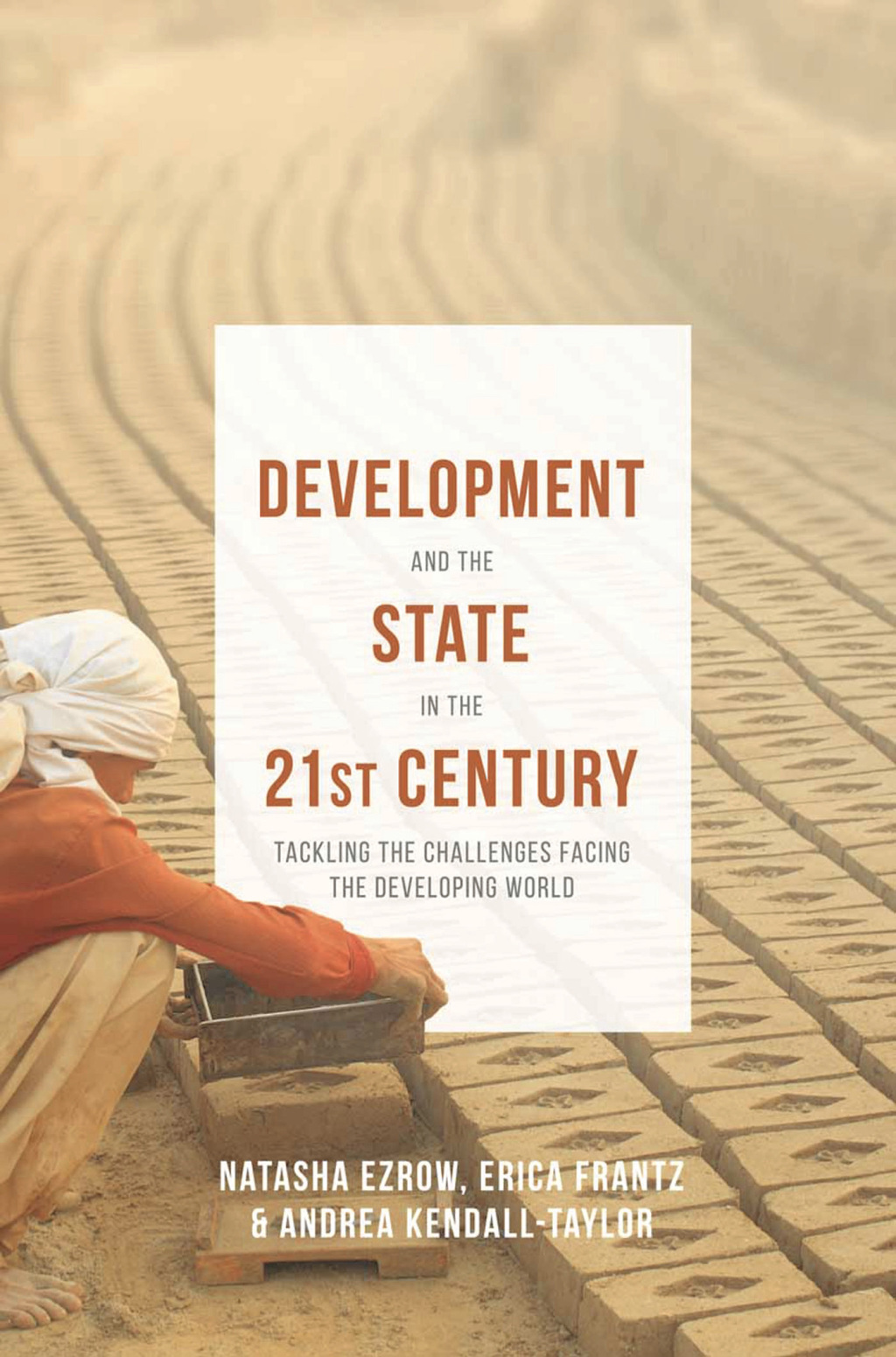 Development and the State in the 21st Century Tackling the Challenges facing the Developing World 1st Edition