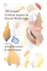 Cover image: Critical Issues in Social Work Law 1st edition 9781137541505