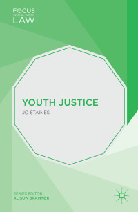 Cover image: Youth Justice 1st edition 9781137339348