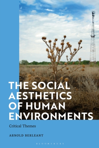 Cover image: The Social Aesthetics of Human Environments 1st edition 9781350349360