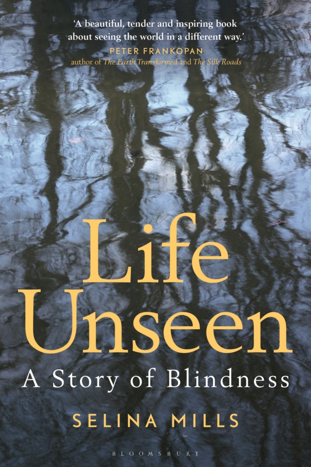 Life Unseen A Story of Blindness 1st Edition