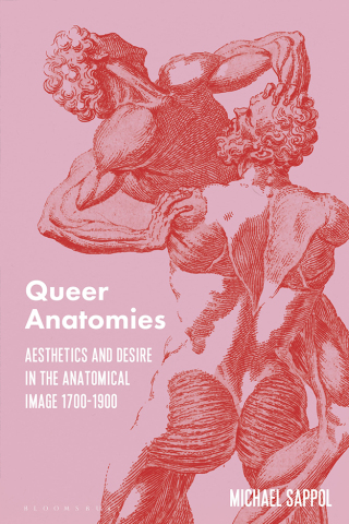 Cover image: Queer Anatomies 1st edition 9781350400870