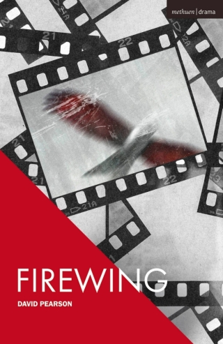 Imagen de portada: Firewing 1st edition 9781350654747