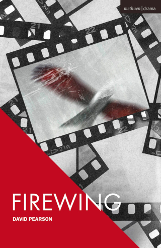 Imagen de portada: Firewing 1st edition 9781350654747