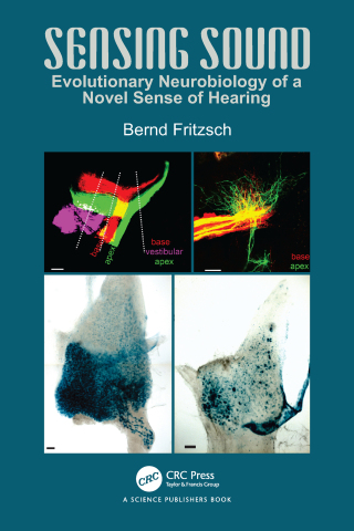 Cover image: Sensing Sound 1st edition 9781032576534