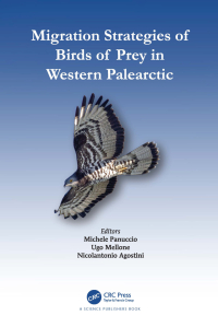 Cover image: Migration Strategies of Birds of Prey in Western Palearctic 1st edition 9781138495722
