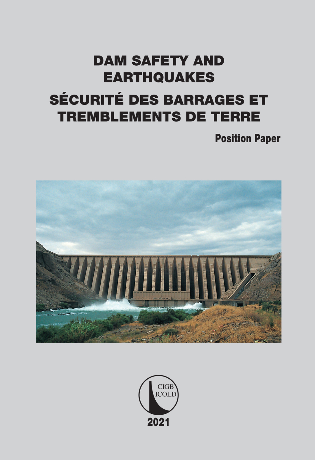 Position Paper Dam Safety and Earthquakes 1st Edition