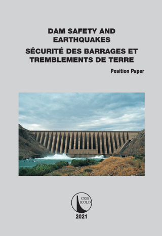 Cover image: Position Paper Dam Safety and Earthquakes 1st edition 9781138490109