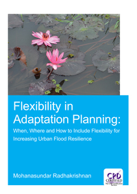 Cover image: Flexibility in Adaptation Planning 1st edition 9781138373181