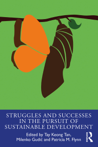 Imagen de portada: Struggles and Successes in the Pursuit of Sustainable Development 1st edition 9780815351764