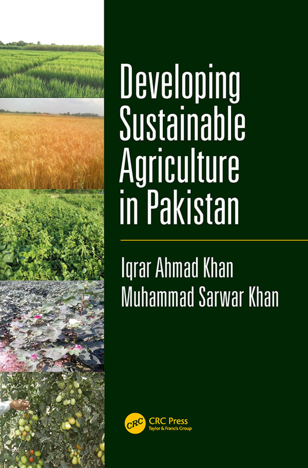 Developing Sustainable Agriculture in Pakistan 1st Edition
