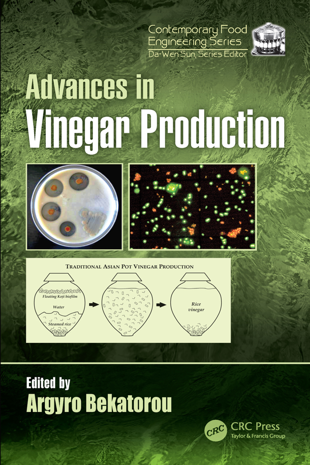 Advances in Vinegar Production 1st Edition