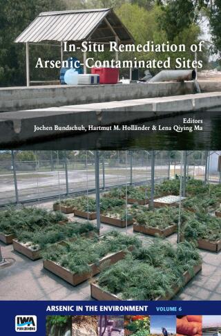 Cover image: In-Situ Remediation of Arsenic-Contaminated Sites 1st edition 9781138747753