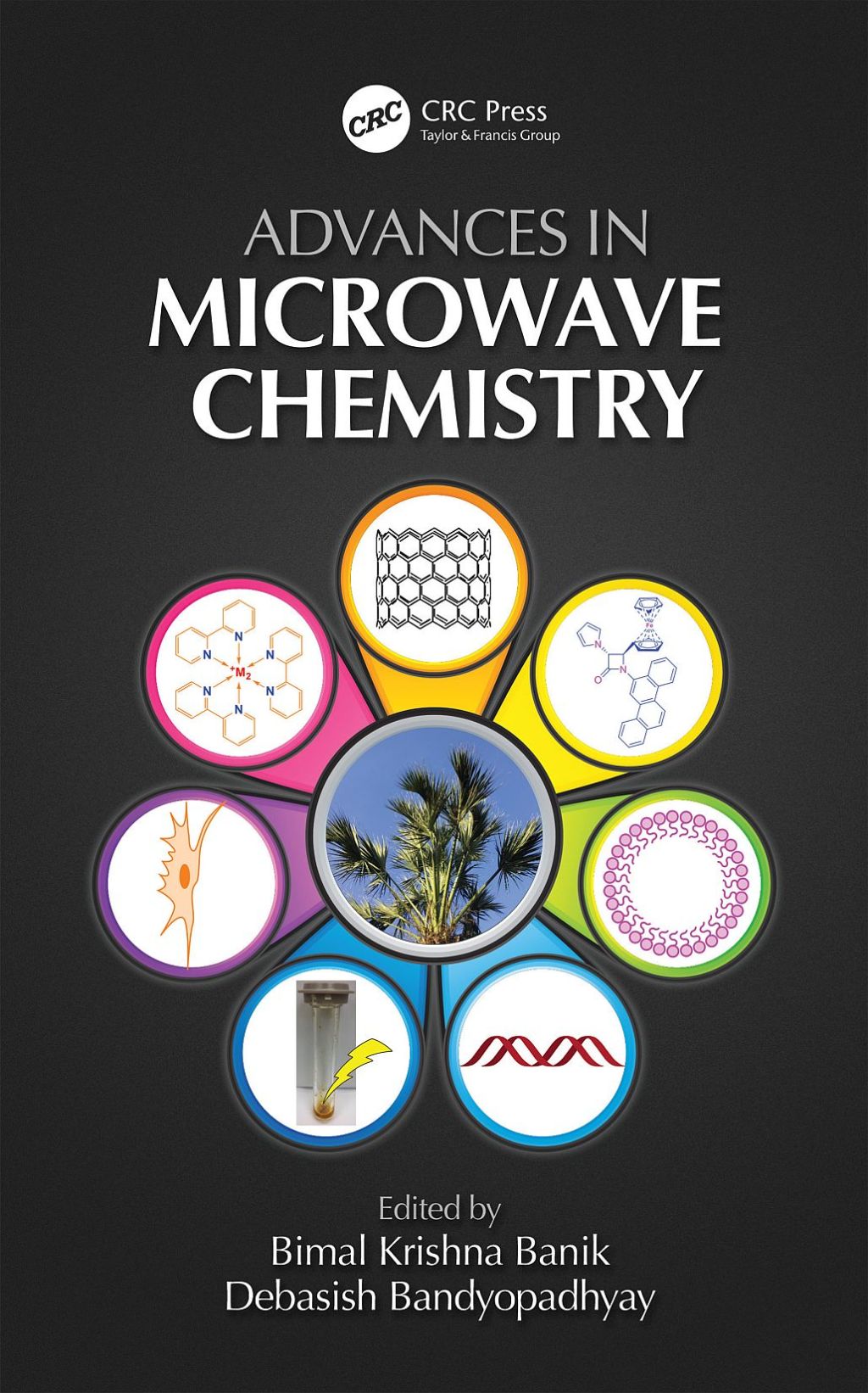 Advances in Microwave Chemistry 1st Edition