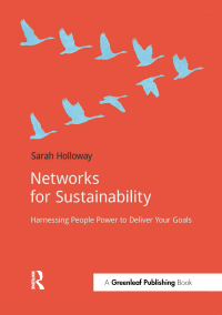 Cover image: Networks for Sustainability 1st edition 9781909293878