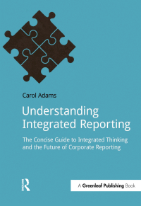表紙画像: Understanding Integrated Reporting 1st edition 9781909293847