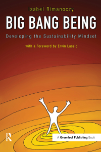 Titelbild: Big Bang Being 1st edition 9781906093877