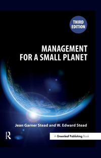 Titelbild: Management for a Small Planet 3rd edition 9781906093303