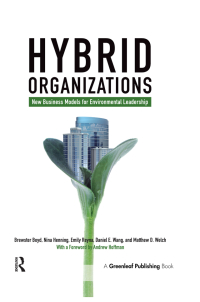 Cover image: Hybrid Organizations 1st edition 9781906093273