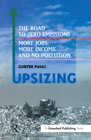 Cover image: UpSizing 1st edition 9781874719212