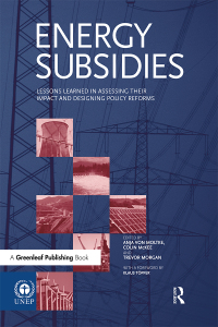 Cover image: Energy Subsidies 1st edition 9781874719113