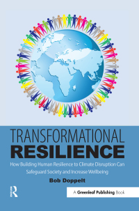 صورة الغلاف: Transformational Resilience 1st edition 9781783535286