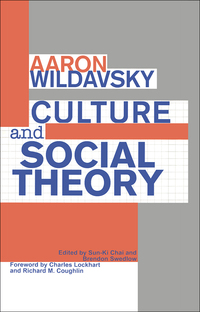 Cover image: Culture and Social Theory 1st edition 9781138508873