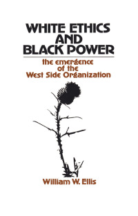 表紙画像: White Ethics and Black Power 1st edition 9781138540514