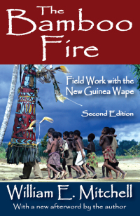 Cover image: The Bamboo Fire 2nd edition 9781138534384