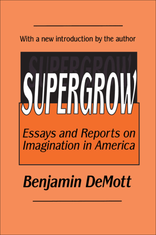 Imagen de portada: Supergrow 1st edition 9781138533691