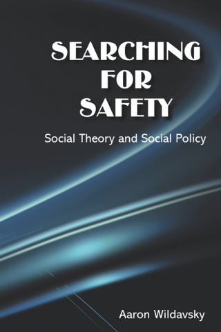 Cover image: Searching for Safety 1st edition 9781138532335