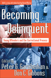 Imagen de portada: Becoming Delinquent 1st edition 9780202307954