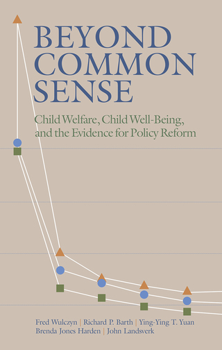 表紙画像: Beyond Common Sense 1st edition 9780202307343