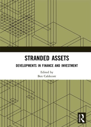 Imagen de portada: Stranded Assets 1st edition 9781138574236