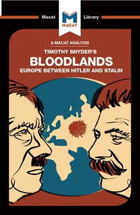 صورة الغلاف: An Analysis of Timothy Snyder's Bloodlands 1st edition 9781912302765