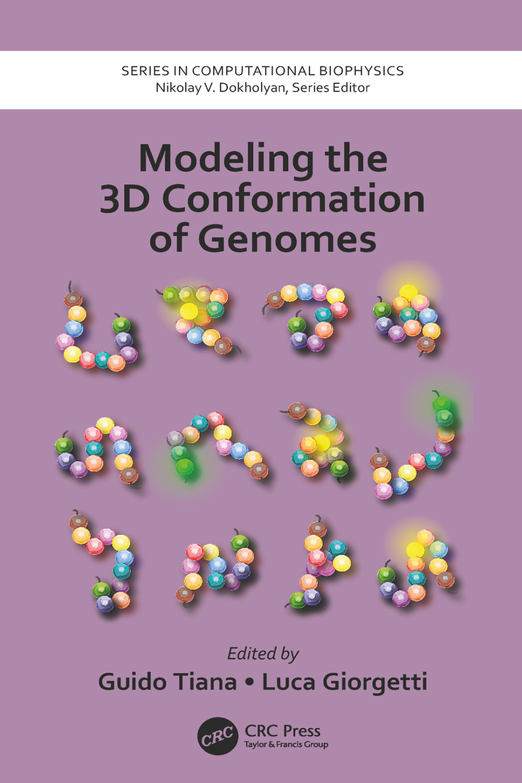 Modeling the 3D Conformation of Genomes 1st Edition