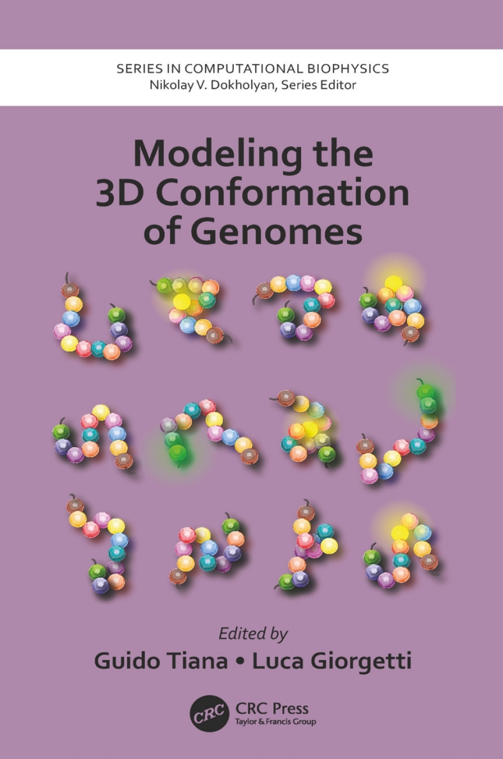Modeling the 3D Conformation of Genomes 1st Edition
