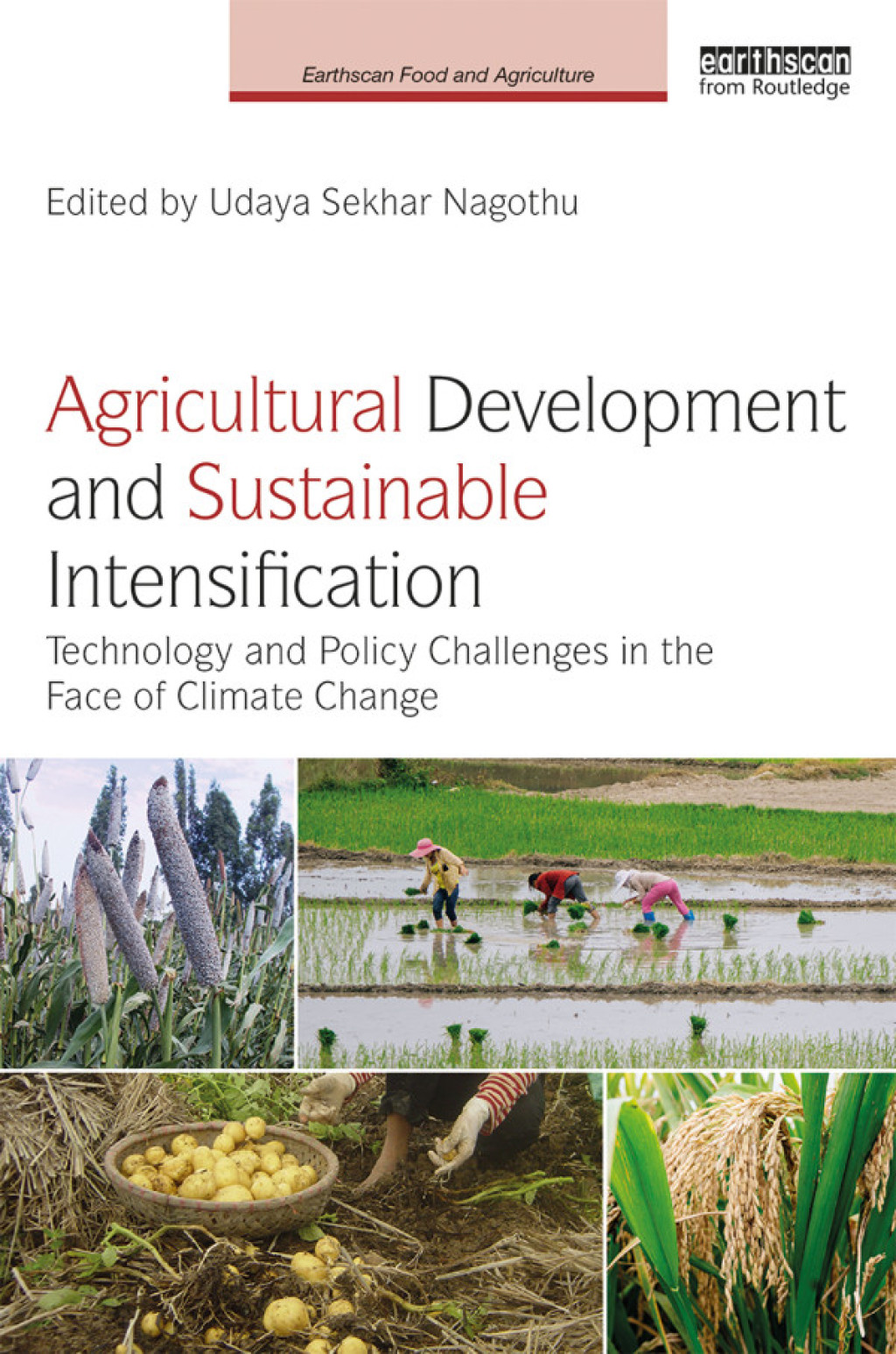 Agricultural Development and Sustainable Intensification Technology and Policy Challenges in the Face of Climate Change 1st Edition