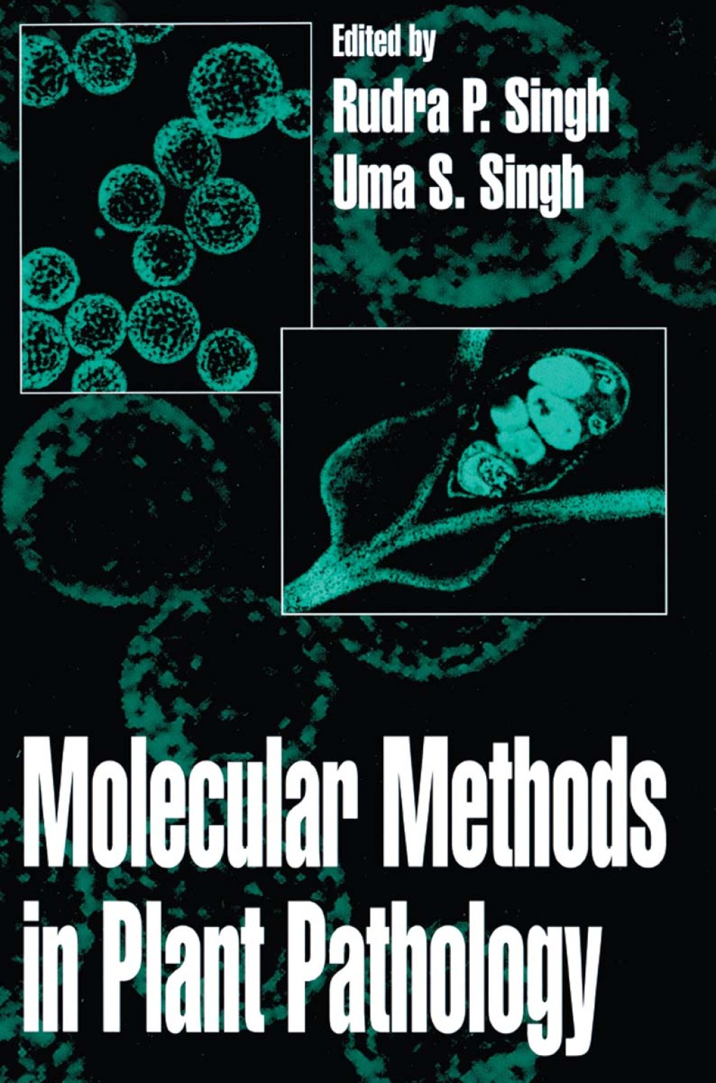 ISBN 9780815351290