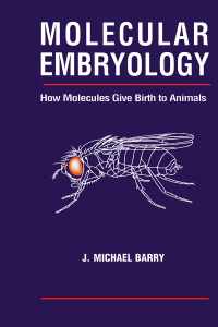 Cover image: Molecular Embryology 1st edition 9781138452855