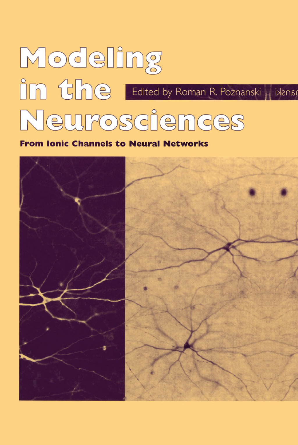 Modeling in the Neurosciences From Ionic Channels to Neural Networks 1st Edition